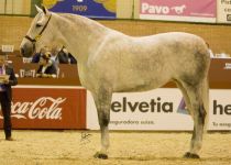 W CARBONERA DE LA ROSA XI, DE HACIENDA DE LA ROSA, BRONCE EN YEGUAS DE 4 A